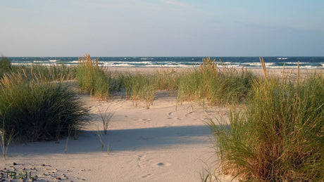 Coast Marathon - Informatie en inschrijven - Trail.nl