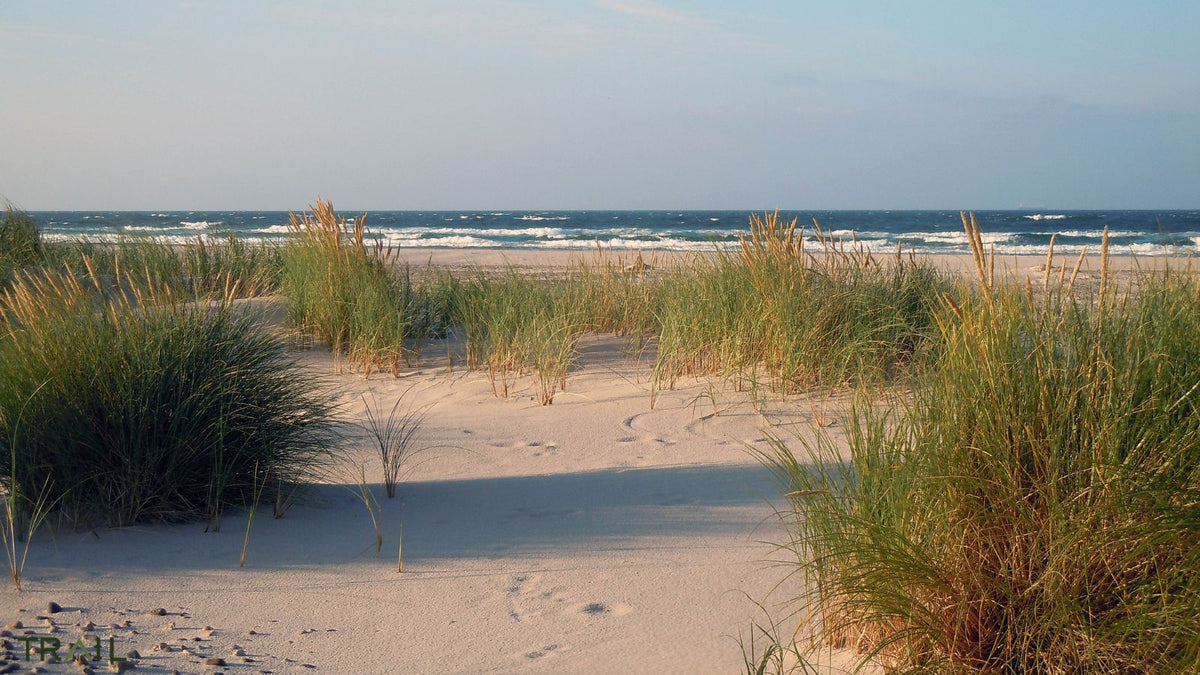 Coast Marathon - Informatie en inschrijven - Trail.nl