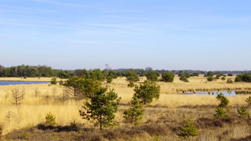 Leenderbos Trail - Informatie en inschrijven - Trail.nl