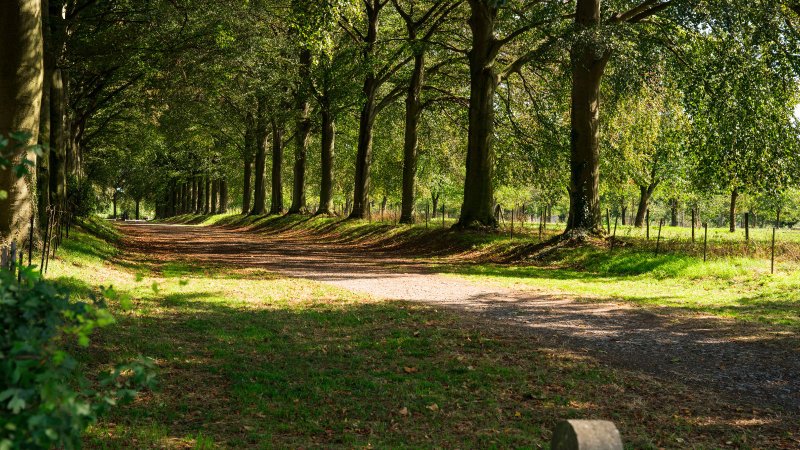 Mescherbergloop - Informatie en inschrijven - Trail.nl