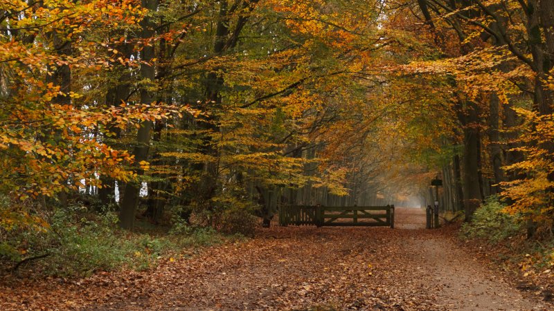 RDG Night Trail - Informatie en inschrijven - Trail.nl