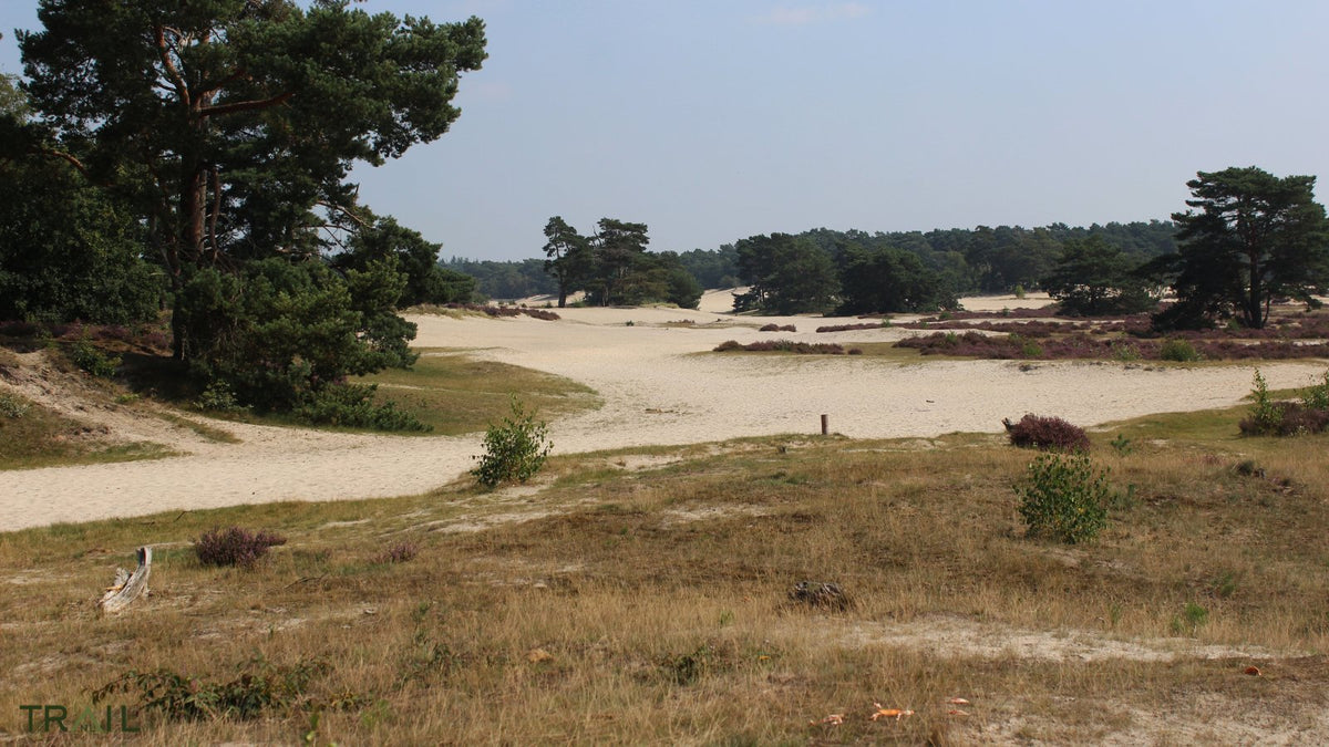 RopaTrail Amerongse Berg - Alle informatie en inschrijven - Trail.nl