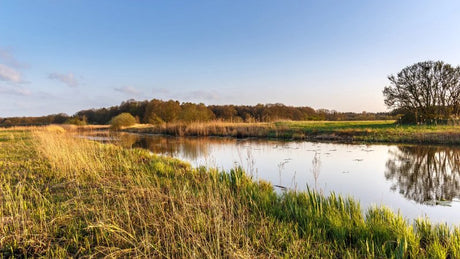RunForestRun Ommerland - Informatie en inschrijven - Trail.nl