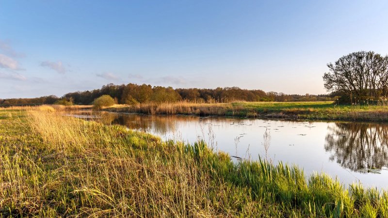 RunForestRun Ommerland - Informatie en inschrijven - Trail.nl