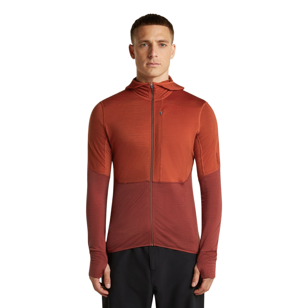 Icebreaker 200 RealFleece Descender Hoodie Heren | Trail.nl