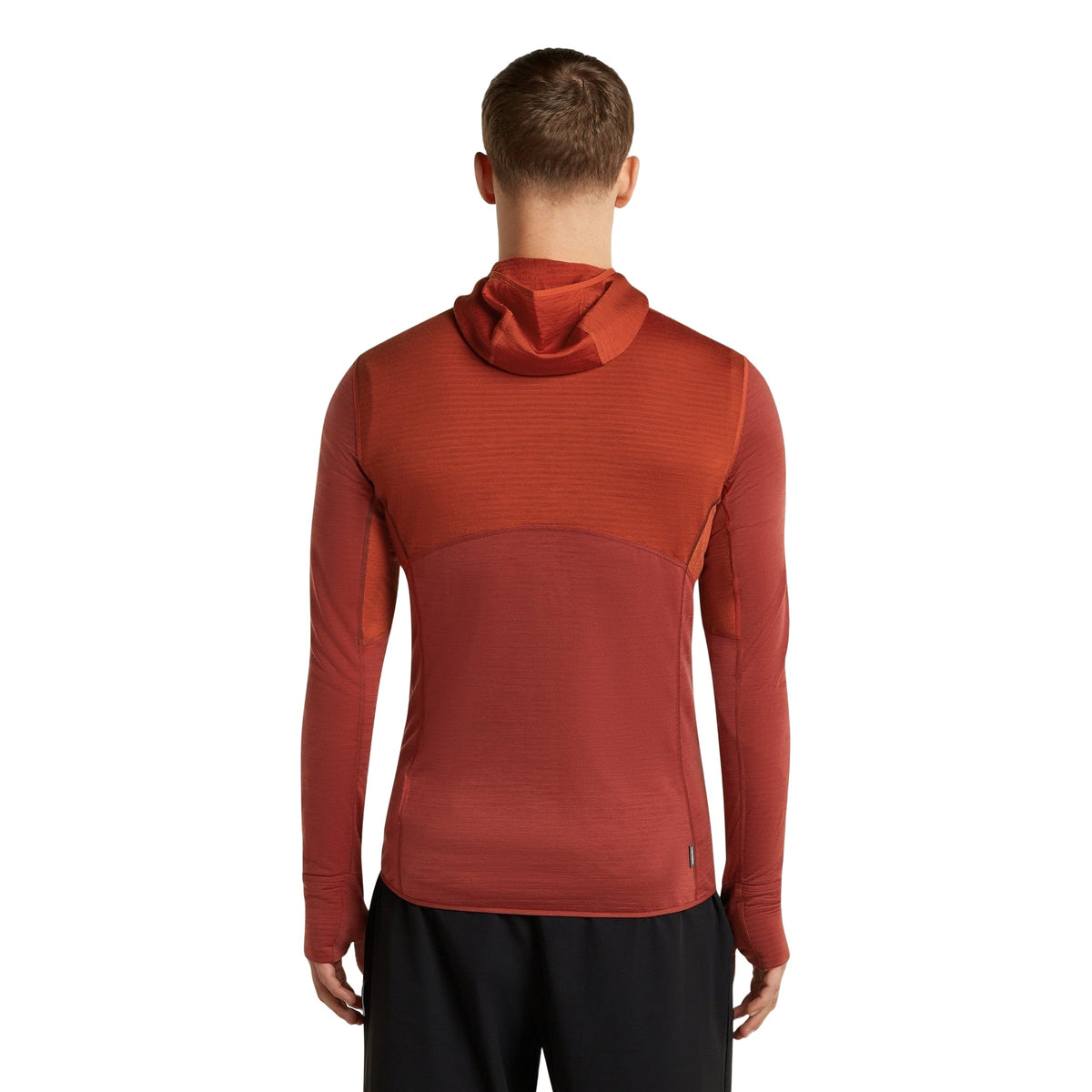 Icebreaker 200 RealFleece Descender Hoodie Heren | Trail.nl