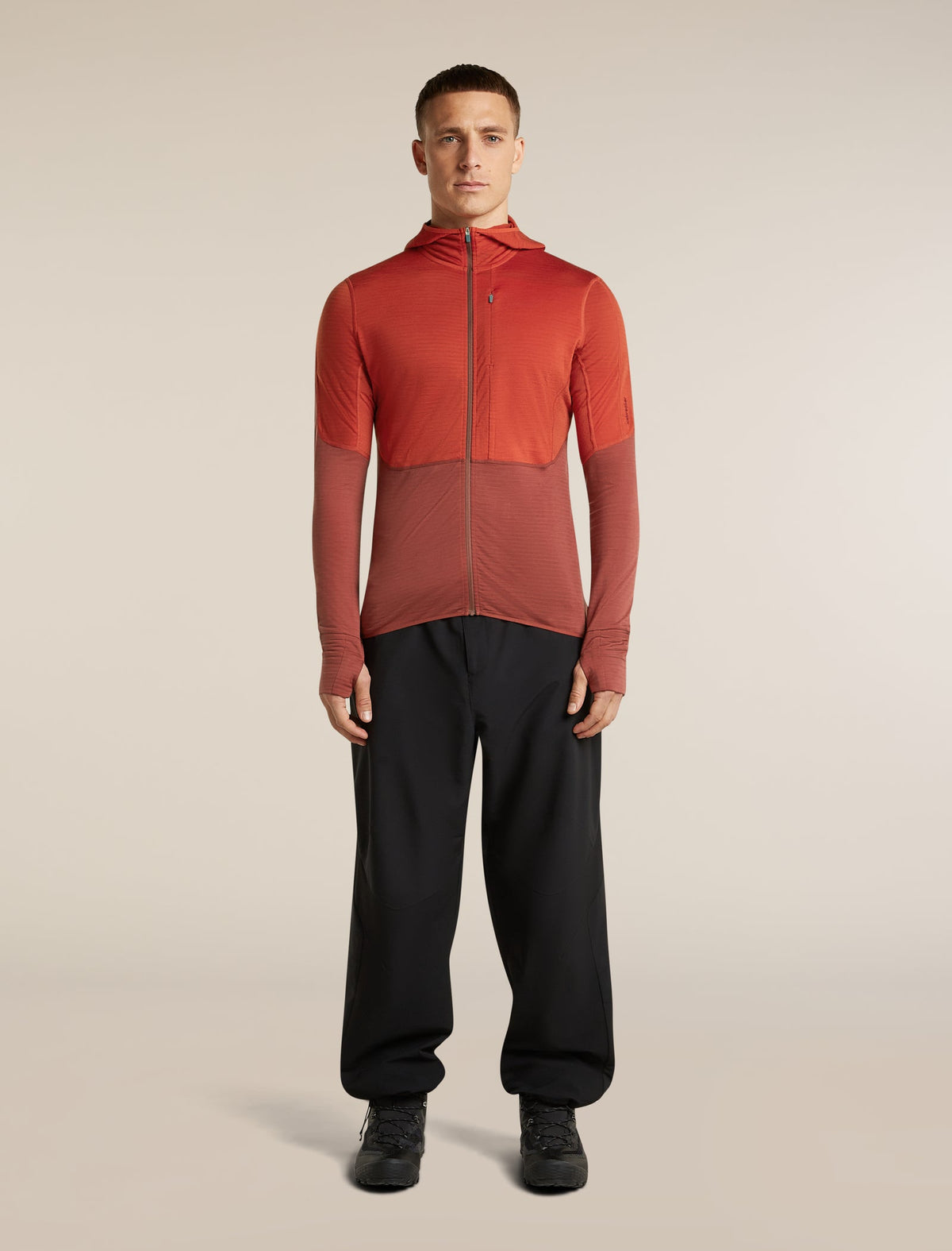 Icebreaker 200 RealFleece Descender Hoodie Heren