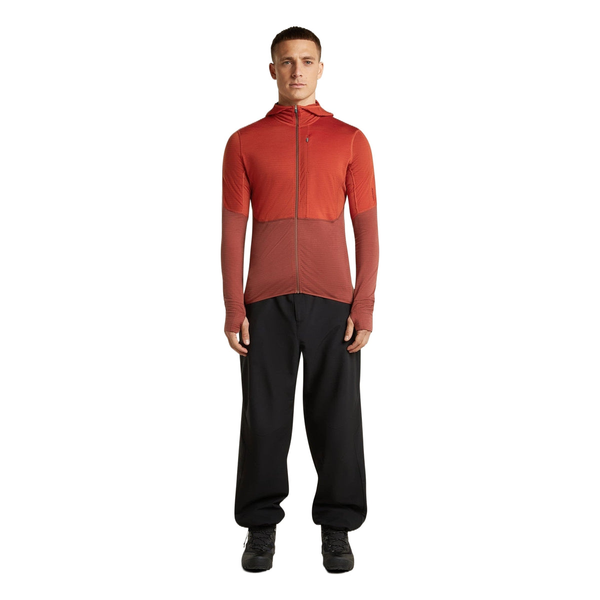 Icebreaker 200 RealFleece Descender Hoodie Heren | Trail.nl