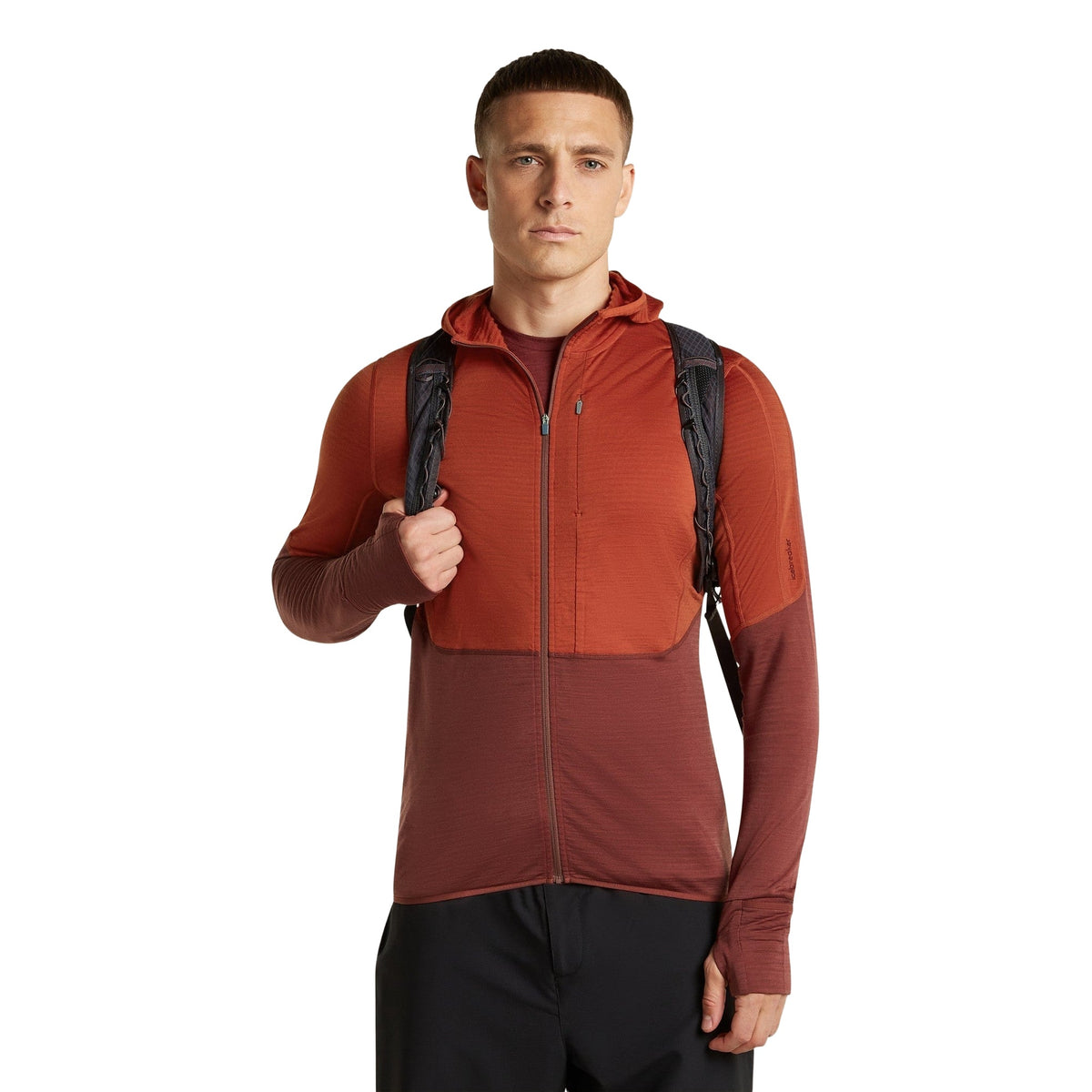 Icebreaker 200 RealFleece Descender Hoodie Heren | Trail.nl