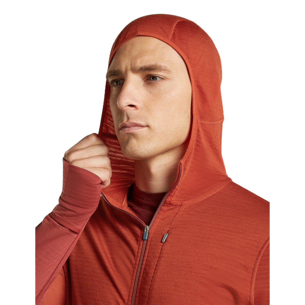 Icebreaker 200 RealFleece Descender Hoodie Heren | Trail.nl