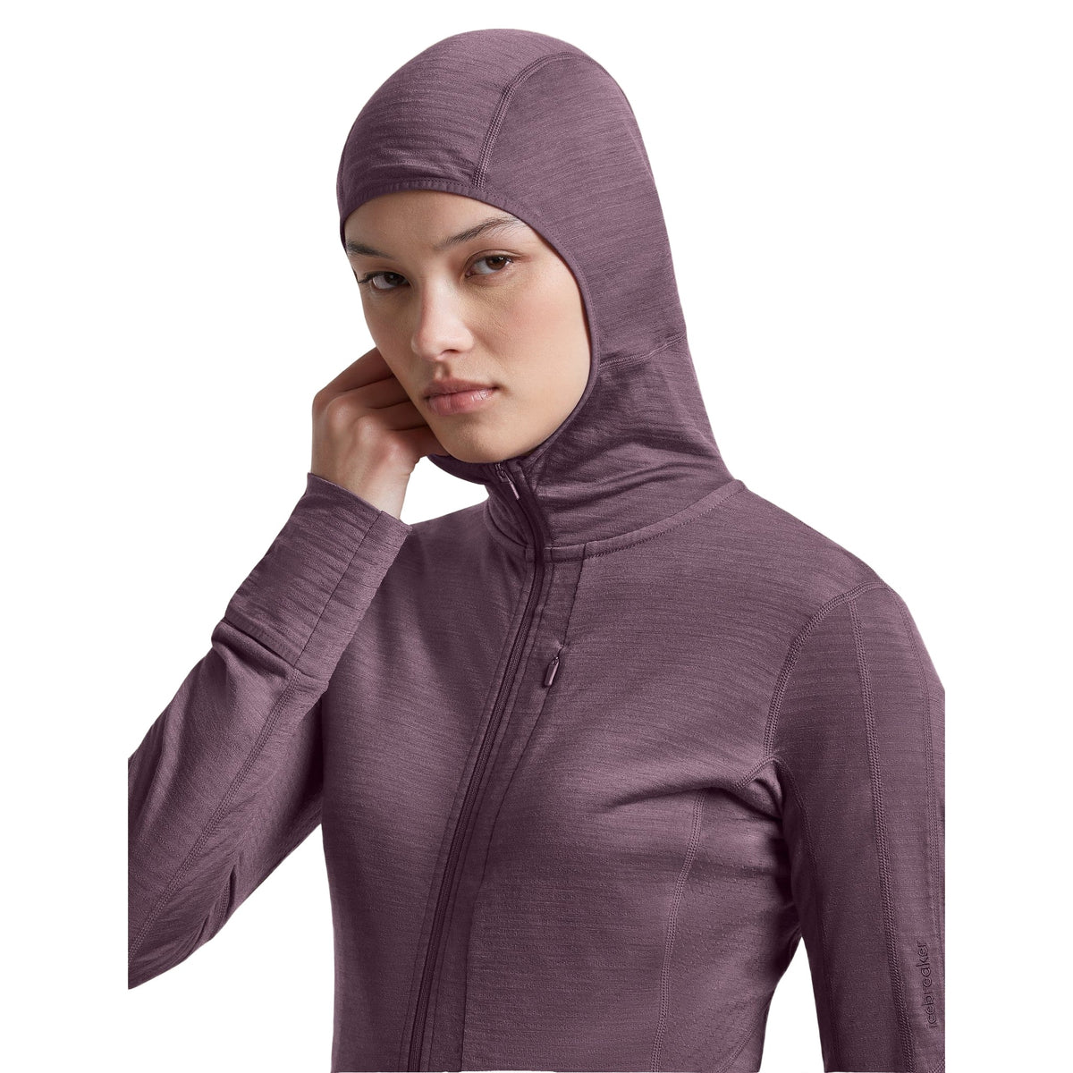 Icebreaker 200 RealFleece Descender Hoodie Dames | Trail.nl