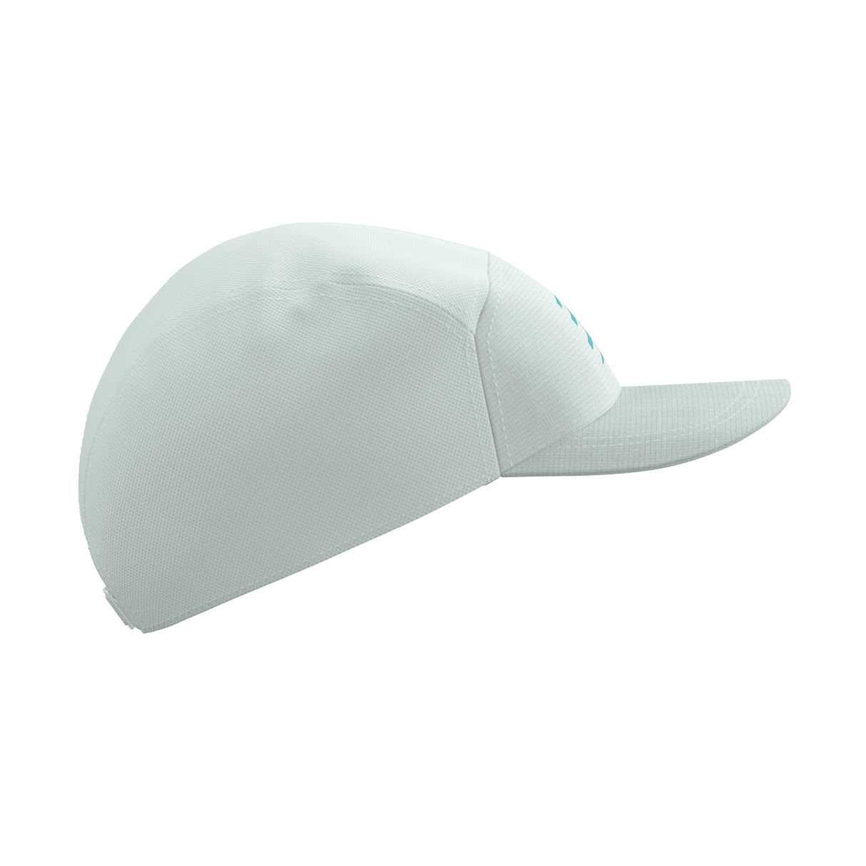Compressport 5 Panel Cap | Trail.nl