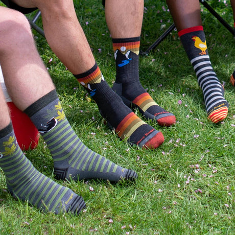 Darn Tough | 1997 Sunset Ridge | Micro Crew | Lightweight | Cushion | Heren | Wandelsokken | Trail.nl