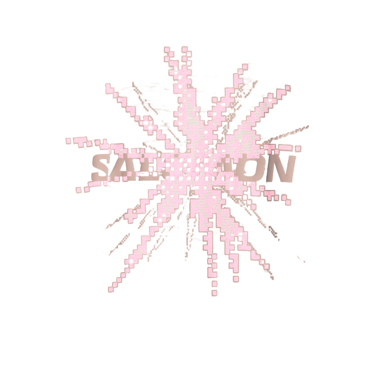 Salomon Shakeout Core Longsleeve GFX Heren | Trail.nl
