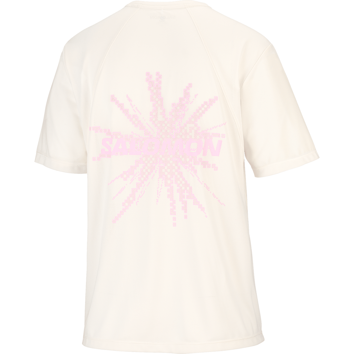 Salomon Shakeout Core Shirt GFX Dames | Trail.nl