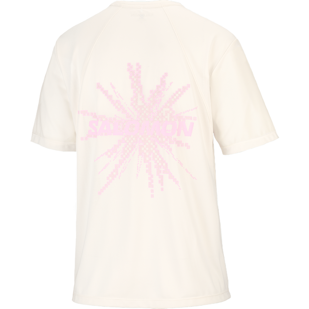 Salomon Shakeout Core Shirt GFX Dames | Trail.nl