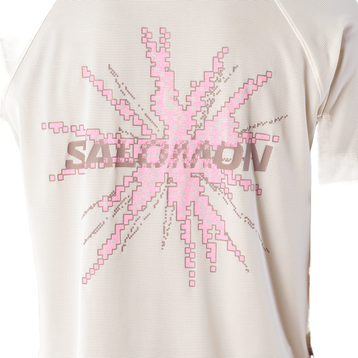 Salomon Shakeout Core Tee GFX Heren | Trail.nl