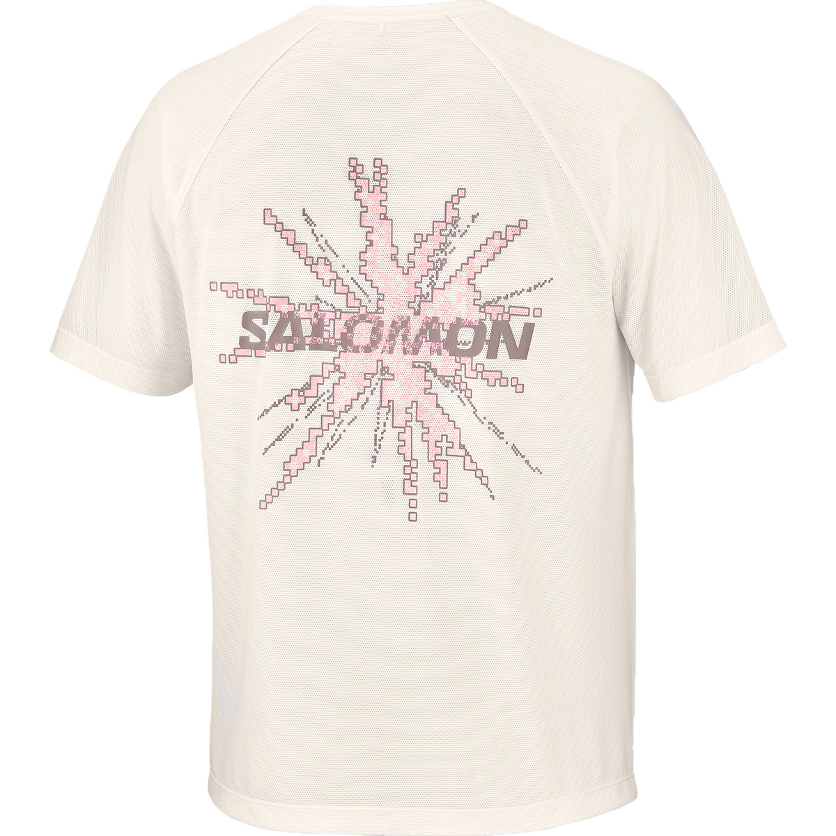 Salomon Shakeout Core Tee GFX Heren | Trail.nl