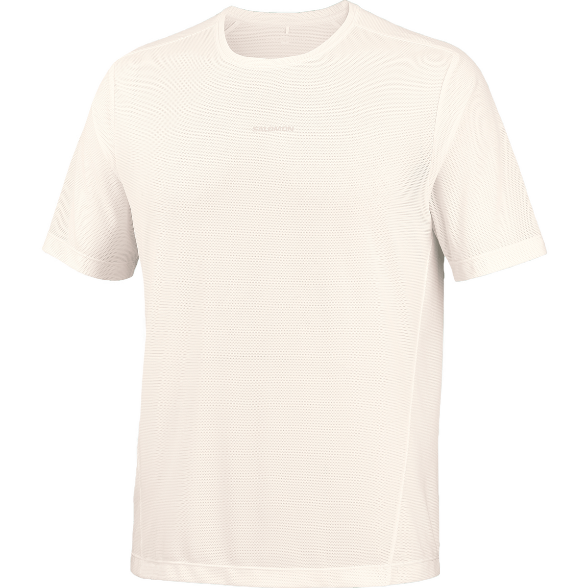 Salomon Shakeout Core Tee GFX Heren | Trail.nl