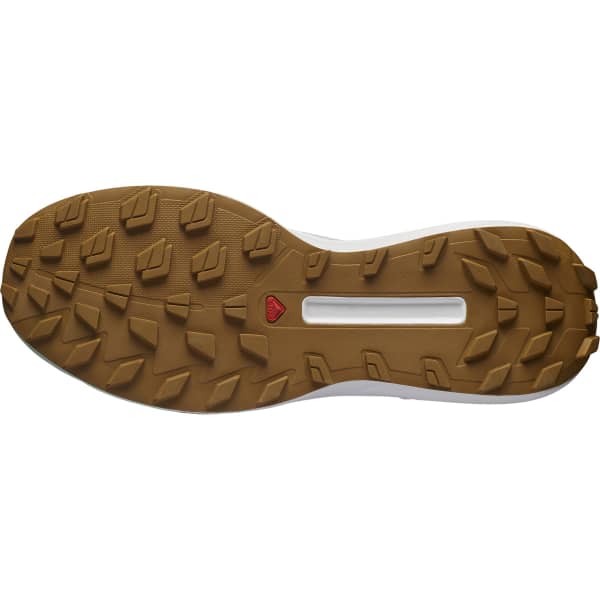 Salomon | S/LAB Genesis | Trailschoenen | Unisex - Trail.nl