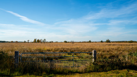 Bargerveen Trailrun 2023