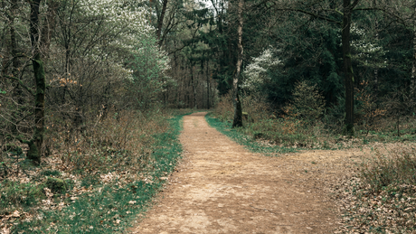 Beekse Herfstrun 2023