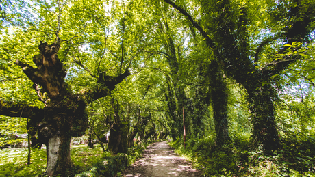 Brabantse kluis trail