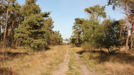 brabantse vennen ultra