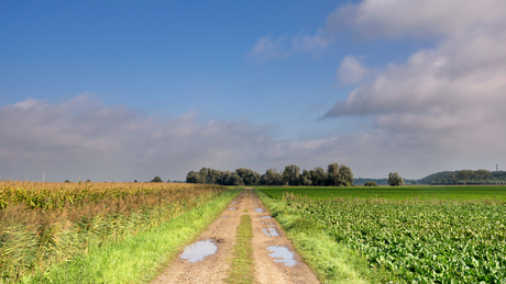 De Brabantse Wal Trailrun 2023