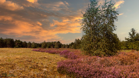 Devil's Trail Maasduinen