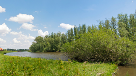 Dordtse Biesbosch Trail Run