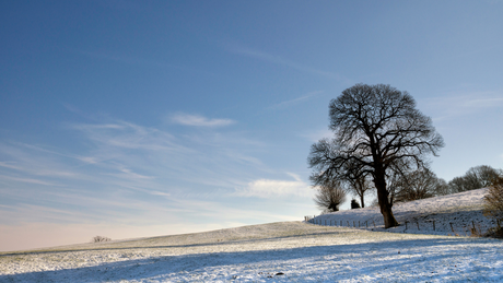 Drielandenpunt Trail Winter 2024