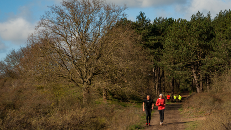 Graef Castricum Trail & Walk 2023