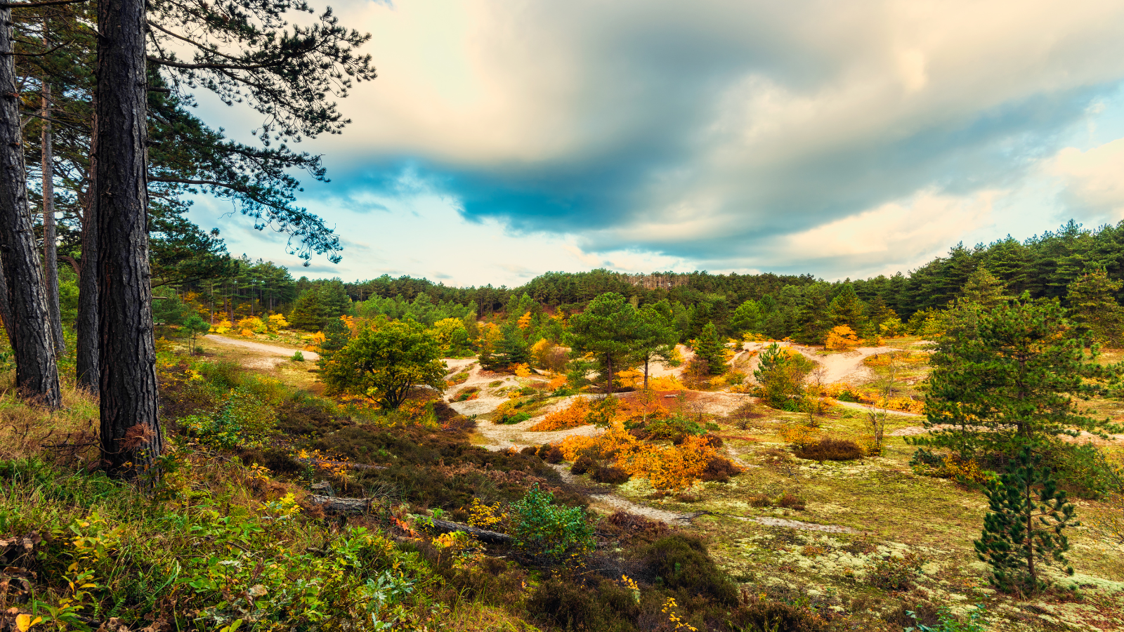 Graef Castricum Trail & Walk 2024