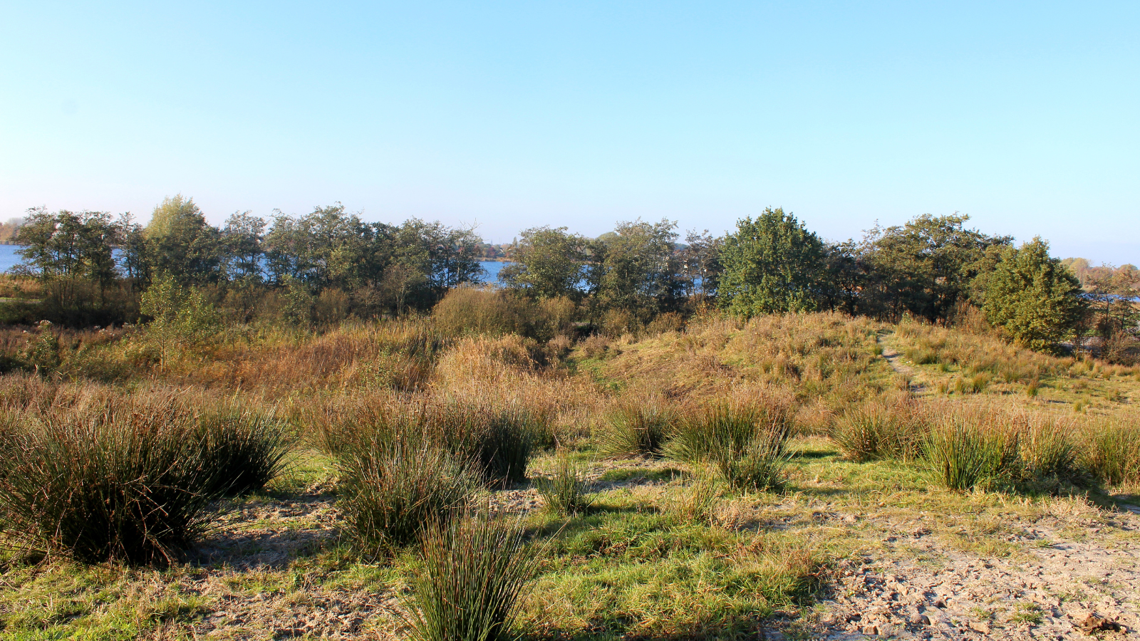 Groote Heide Ultra 2024