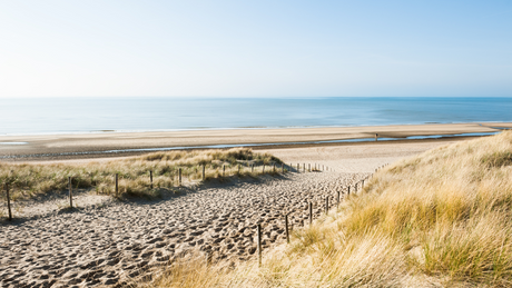 Hollands Duin Trail Herfst Editie