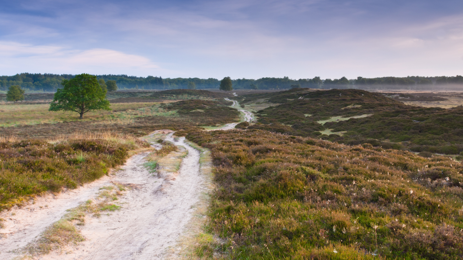 Hollands duin trail 