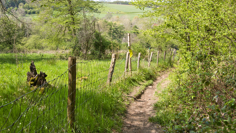 Koning Van Spanje Trail 2024