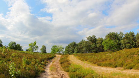 leenderbos trail