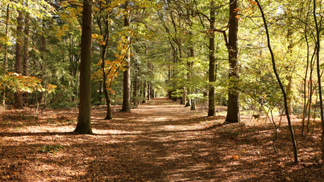 Leenderbos Ultra 2024