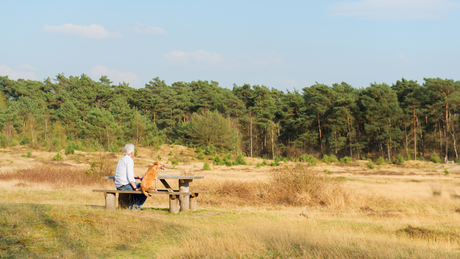 Leersumse Veld Trail Zomer 2024