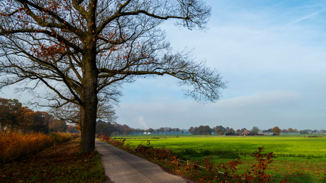 Lenteloop Eerbeek 2024