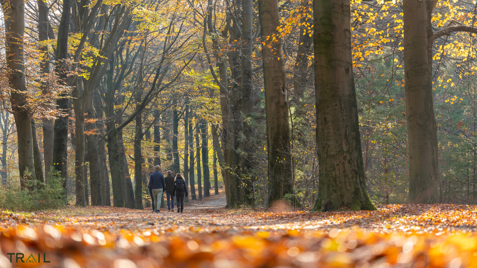 Maarten Maartens Trailrun