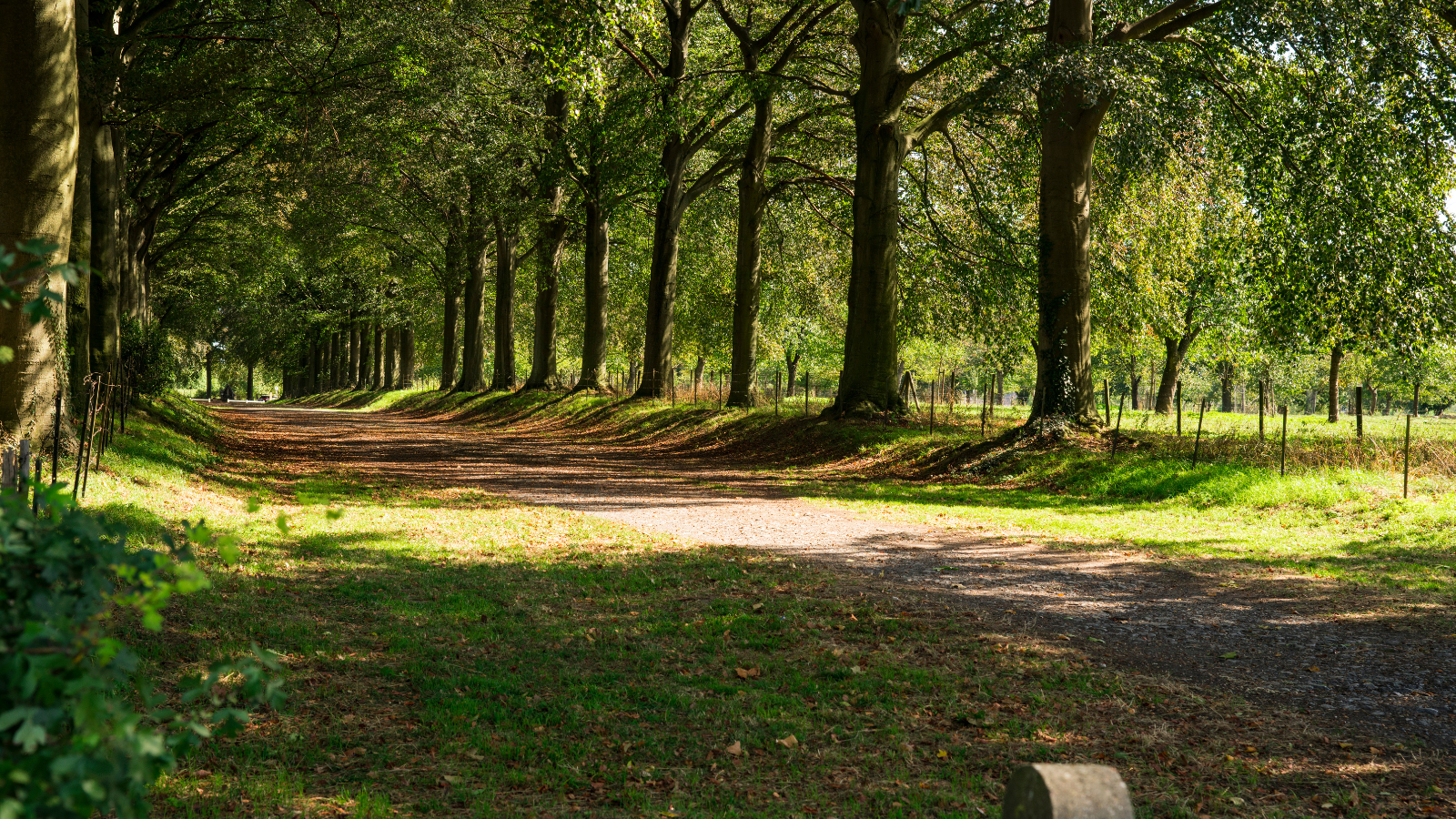 Mescherbergloop 2023