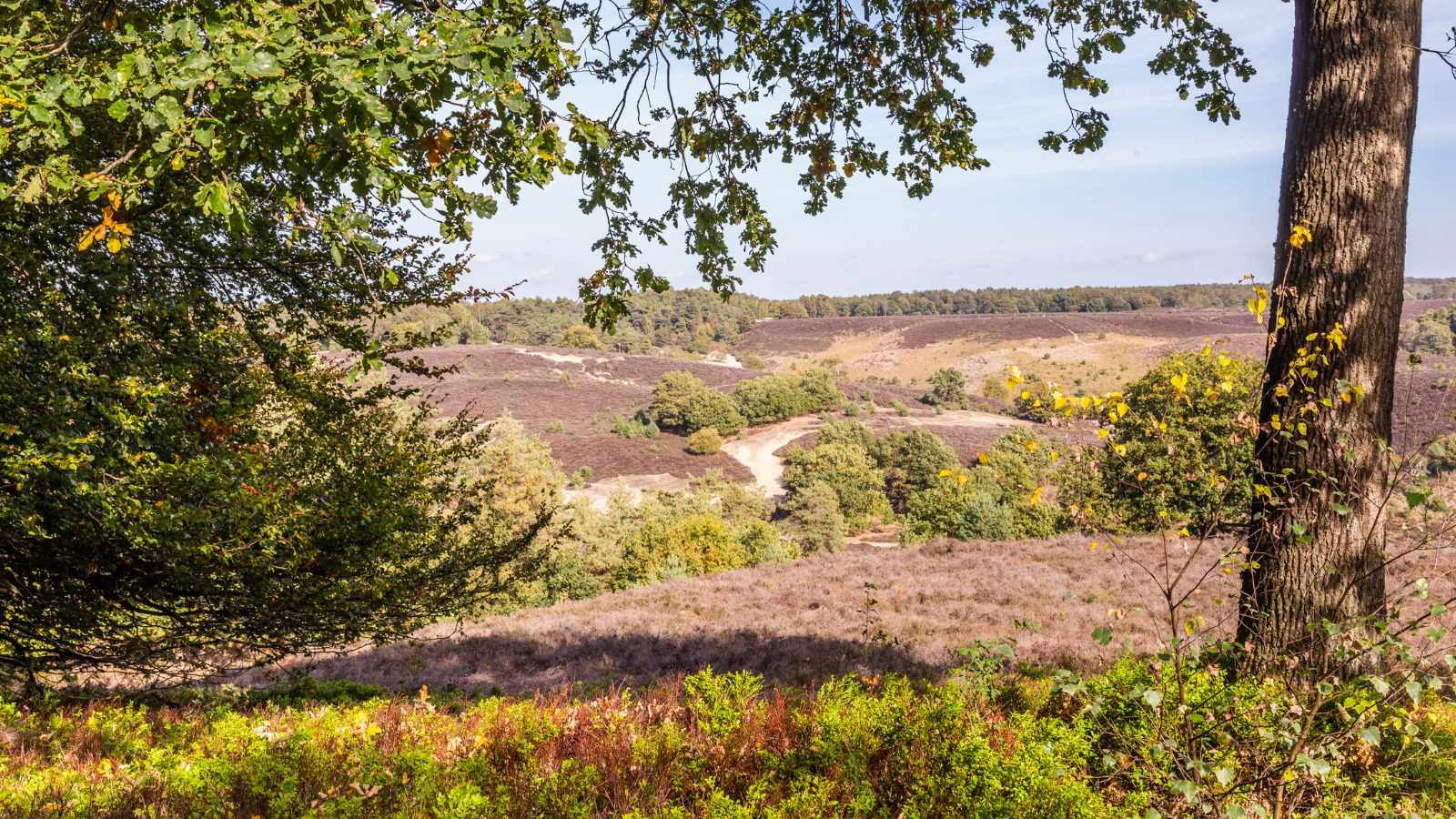 posbank trail