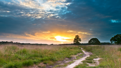 RunForestRun Drentsche AA 2024