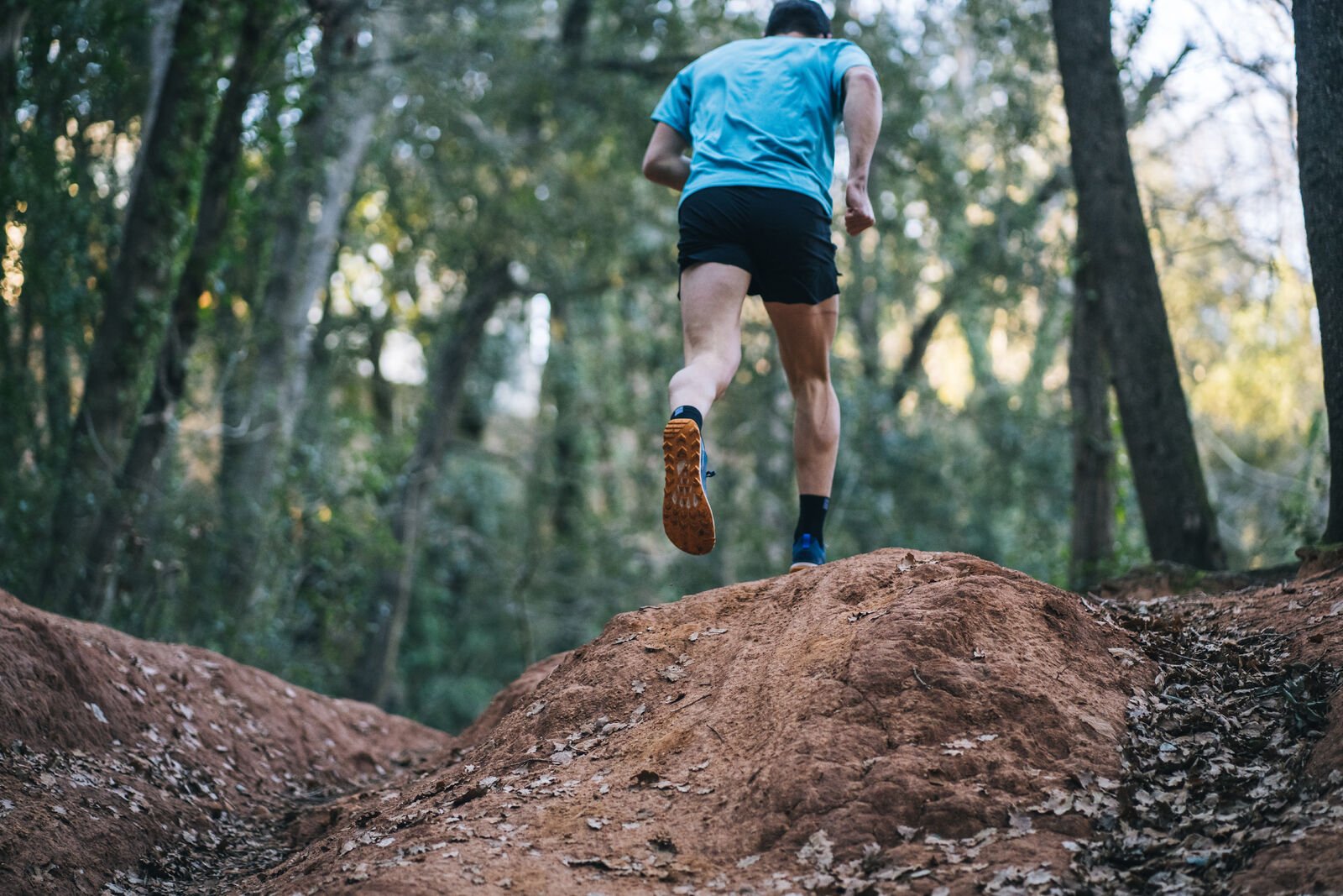 Altra Lone Peak 8 | Nu op voorraad - Trail.nl