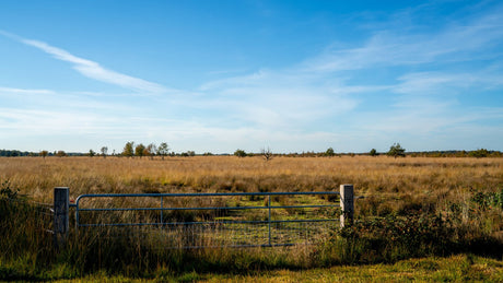 Bargerveen Trailrun 2023 - Trail.nl