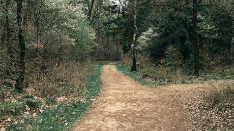 Beekse Herfstrun 2023 - Trail.nl