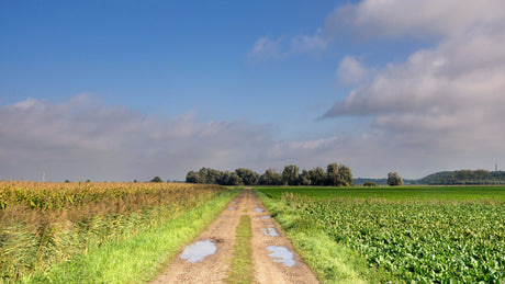 De Brabantse Wal Trailrun 2023 - Trail.nl